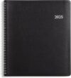 Blue Sky Blue Sky 2025 Monthly Planner, 8” x 10”