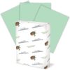 Hammermill Colored Paper, 20 lb Green, 8.5 x 11, 103366R