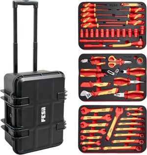 FESA Electrician 50-Piece 1000V Insulated Tool Set