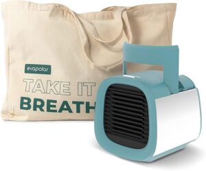 Evapolar Evapolar Evaporative Air Cooler And Tote