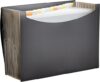 Amazon Basics Expanding Organizer File Folder, Letter Size