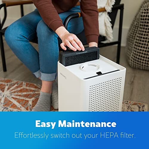 Kenmore KF250 1200e Series True HEPA Filter - Image 4