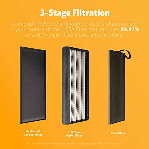 Kenmore KF250 1200e Series True HEPA Filter - Image 2