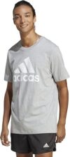 adidas Men’s Essentials Big Logo T-shirt
