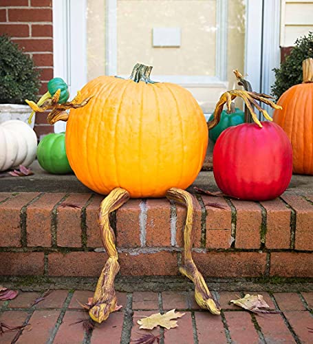 Plow & Hearth Bendable Pumpkin Arms And Legs Set - Image 3