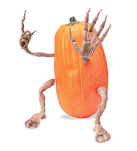 Plow & Hearth Bendable Pumpkin Arms And Legs Set - Image 4