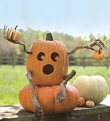 Plow & Hearth Bendable Pumpkin Arms And Legs Set - Image 5
