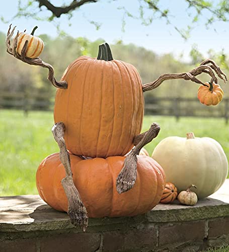 Plow & Hearth Bendable Pumpkin Arms And Legs Set - Image 2