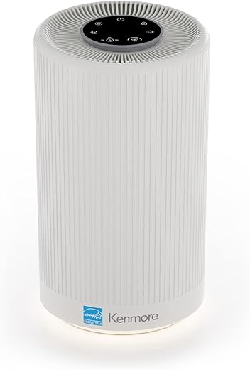 Kenmore PM1005 Air Purifier With H13 HEPA Filter