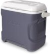 Igloo Portable Electric Coolers (18-60QT)
