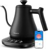 GoveeLife Smart WiFi Gooseneck Kettle, 0.8L