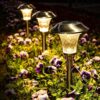 GIGALUMI Solar Pathway Lights, 8 Pack, Warm White