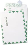 SURVIVOR USPS First Class Mailer 6×9 White
