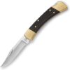 Buck Knives 110 Folding Hunter Lock-back Knife, Ebony Handles