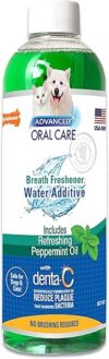 Nylabone Advanced Oral Care Water Additive – Peppermint