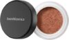 All Over Face Loose Bronzer Powder