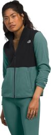 THE NORTH FACE Alpine Polartec 100 Jacket – Women’s