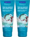 Freeman Anti-Stress Clay Facial Mask, Dead Sea Minerals, 6 oz, 2 Pack