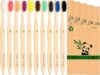 Virgin Forest Bamboo Toothbrush Set, Soft Bristle, Eco-Friendly