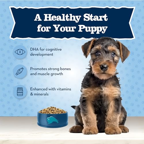 Blue Buffalo Baby Blue Natural Puppy Food, Chicken Recipe - Image 5