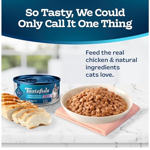 Blue Buffalo Chicken Entrée Wet Cat Food, 3-oz. Cans - Image 3