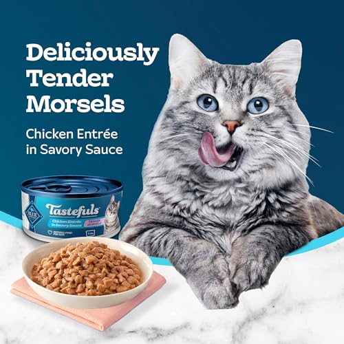 Blue Buffalo Chicken Entrée Wet Cat Food, 3-oz. Cans - Image 4