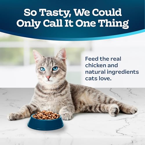 Blue Buffalo Tastefuls Natural Dry Cat Food, Chicken Recipe - Image 3