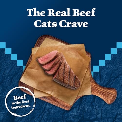 Blue Buffalo Wilderness Adult Dry Cat Food, Red Meat - Image 4