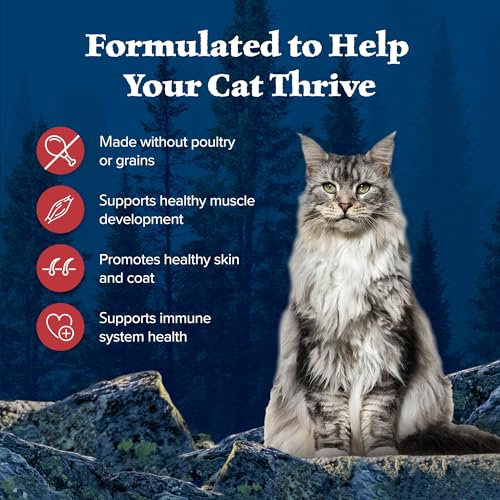 Blue Buffalo Wilderness Adult Dry Cat Food, Red Meat - Image 5