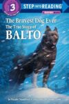 Bravest Dog Ever: Story Of Balto