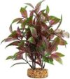 Fluval Broad Leaf Red Ludwigia Plastic Plant