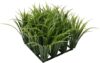 Hagen Chi Grass Aquarium Ornament