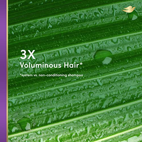 Dove Revolumize Silicone-Free Conditioner With Coconut 10oz - Image 4