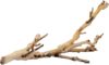 Exo Terra Exo Terra Small Forest Branch