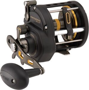 PENN Fathom II Level Wind Salzwasser-Multirolle