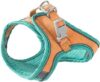 Generic Floral Print Harness & Leash Set