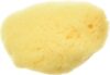 Zoo Med Hermit Crab Sea Sponge