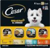 Cesar Home Delights Wet Dog Food Variety Pack
