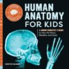 Human Anatomy For Kids: Junior Scientist’s Guide