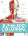 Human Body Coloring Book: Ultimate Study Guide