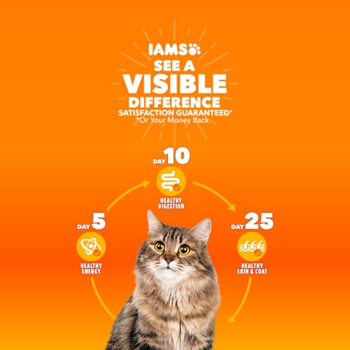 Iams Proactive Health Adult Dry Cat Food - Image 3