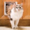 PetSafe Interior Cat Door: 2-Way Locking Flap