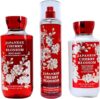 Bath & Body Works Japanese Cherry Blossom Shower Set