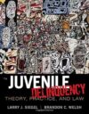 Juvenile Delinquency: Theory And Practice