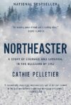 Northeaster: Courage and Survival in Blizzard