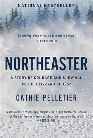 Northeaster: Courage and Survival in Blizzard