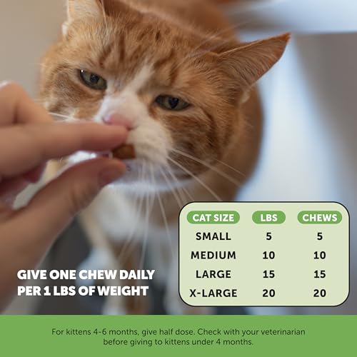 Pet Honesty Cat Hairball Support Chews, Furball Treatment - Image 5