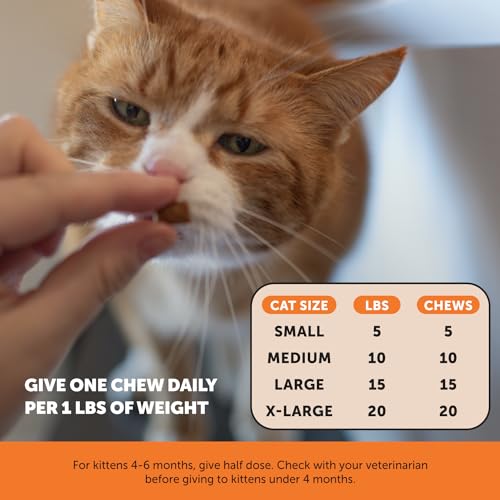 Pet Honesty Cat Hip & Joint Health Chews - Image 5