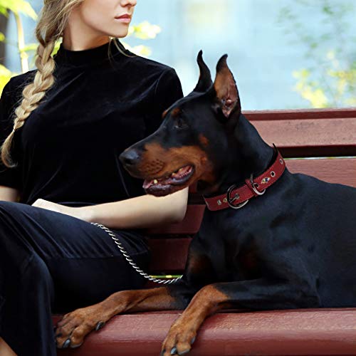 Pets First Tough Leather NFL Ravens Dog Collar - Image 3