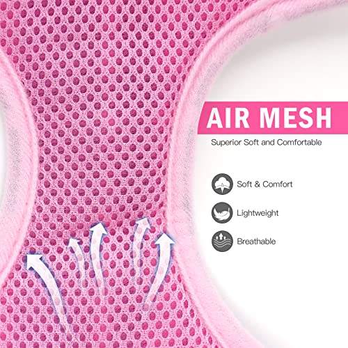 PUPTECK Soft Mesh Dog Harness Leash Set - Image 2